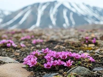 Become Grounded By Being Present