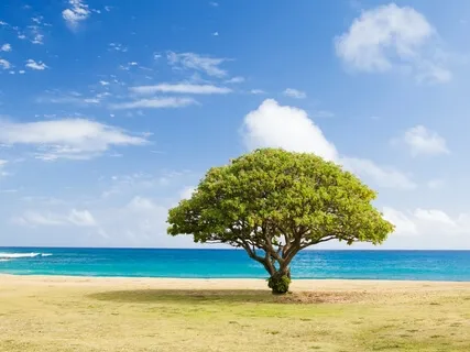 Become Happy Right Now + Theta Waves (Day 1 of 7 Happiness Series)