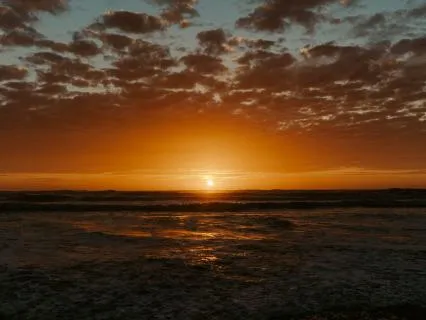 Become Magnetic To Abundance