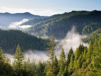 Become Magnetic To Your Desires