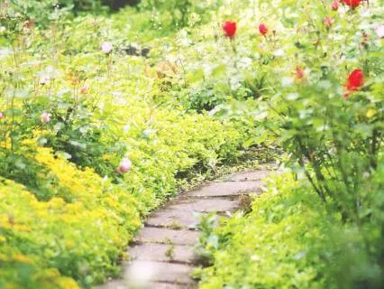 Become One With Source