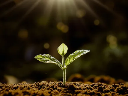 Become One With the Earth