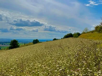 Become Present Enough To Relax And Sleep Well