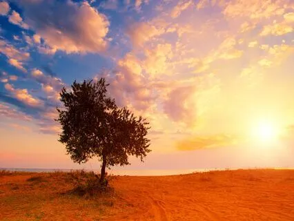 Become Superconscious - A Field Of Oneness