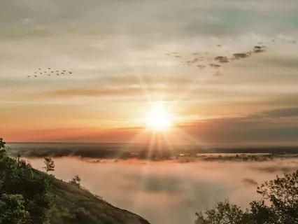 Become The Dominant Frequency: Protect Your Energy!