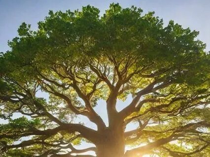 Become The Earth And Ground With The Soul Of Nature