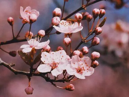 Become The Greatest Version Of Yourself Sleep Affirmations