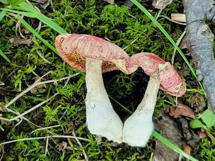 Becoming A Co-Creator Of Your Experience