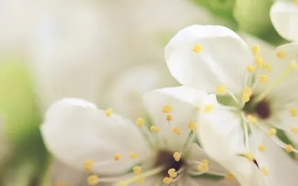 Becoming A Lightworker