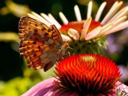 Becoming: A New Year Reset