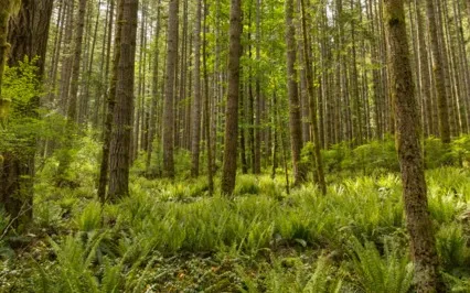 Becoming An Energetic Match To Abundance