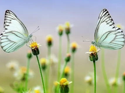 Becoming An Entity In Your Life