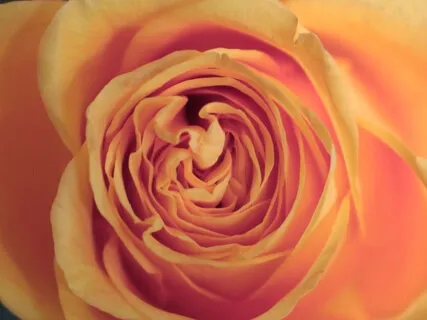 Becoming Aware Of Awareness