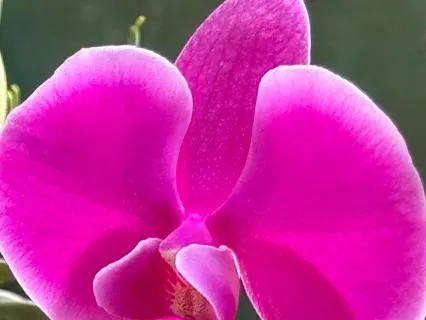 Becoming Aware Of Body Tension In Meditation