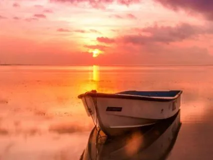 Becoming Aware Of Your Other Timelines Through Sacred Nature