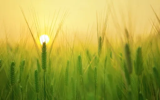 Becoming Aware Of Your Own Presence