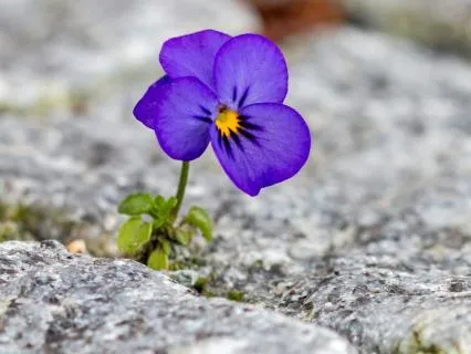 Becoming Brave -Finding The Strength Within You