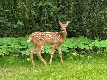 Becoming Friends With Grief