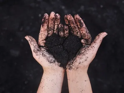 Becoming Friends With Your Fear