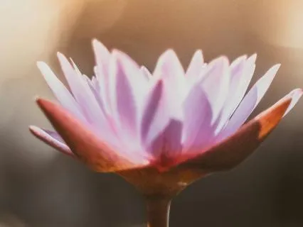 Becoming HER — A Quantum Leap Meditation