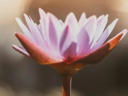 Becoming Her - Quantum Leap Meditation