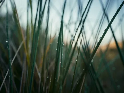 Becoming Intimate With Yourself