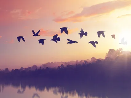 Becoming Love - E3 Breath Meditation