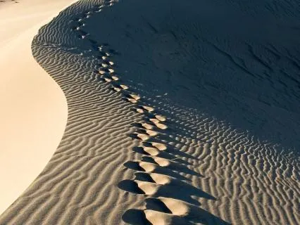 Becoming Nobody: A Reflection On Letting Go