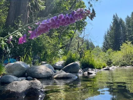 Becoming Present And Aware Using Sensorimotor Psychotherapy