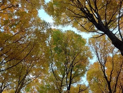 Becoming Present And Aware Within Your Body