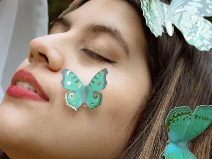 Becoming The Butterfly