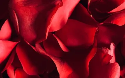 Becoming The Greatest Version Of Yourself | Meet The Future