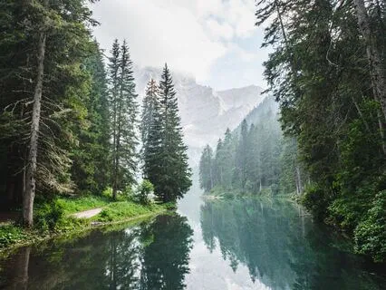 Becoming The River Of The Tao