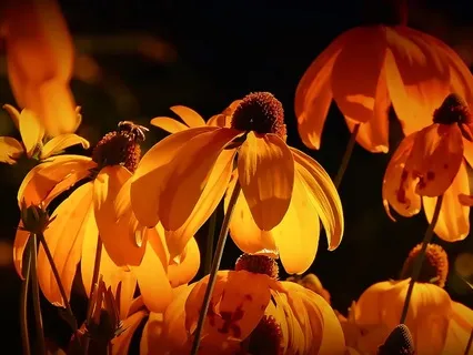 Becoming Through Thought: Gentle Bedtime Talk With Buddha