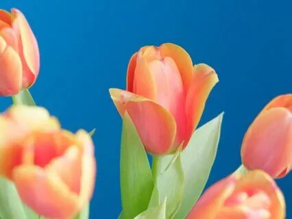 Becoming Visible: A Meditation For Midlife Self-Acceptance