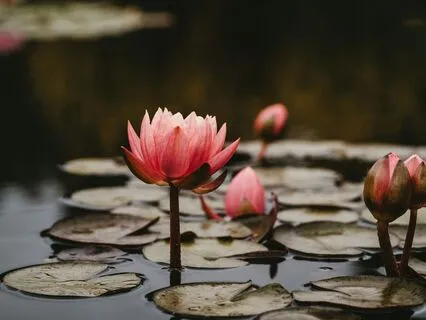 Becoming Who You Need To Be