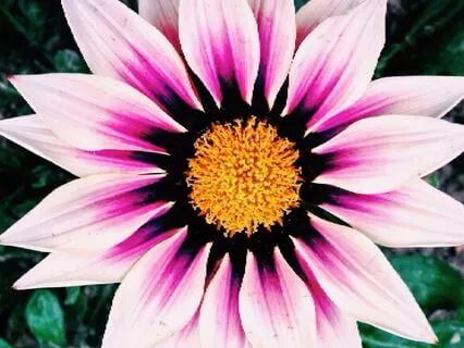 Becoming Whole – A Journey Through I Am Metaphors