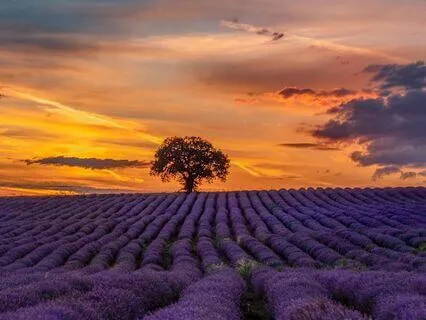 For When You Feel Broken - Becoming Whole