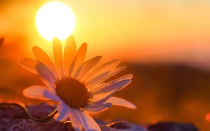 Becoming Wiser With Difficult People