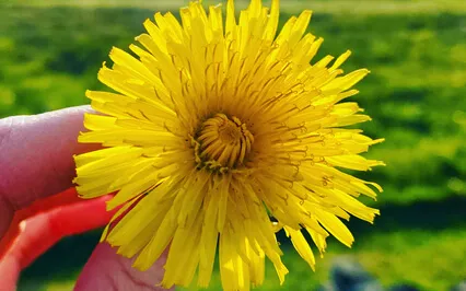 Becoming Your Authentic Self