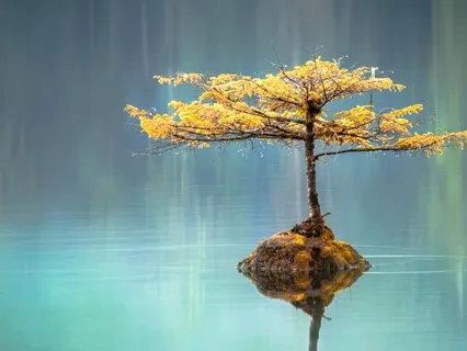 Becoming Your Whole Self Begins With The Truth