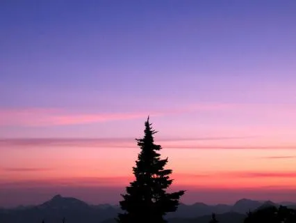 Bed Time Body Scan Meditation For Rest & Release