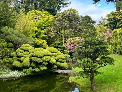 Bed Time In Tokyo: Relaxation Theme