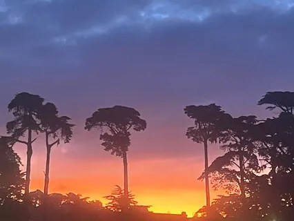 Bed Time Meditation For Kids : Patience In San Francisco