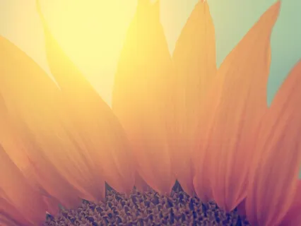 Beden Farkındalığı