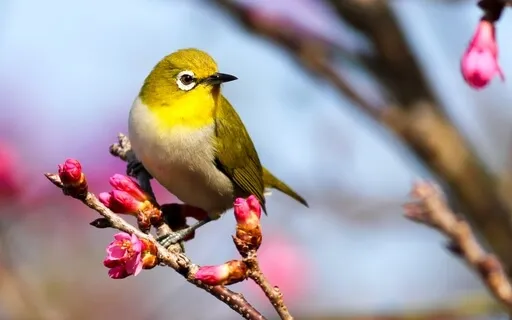 Beditation: A Meditation On Waking In The Morning