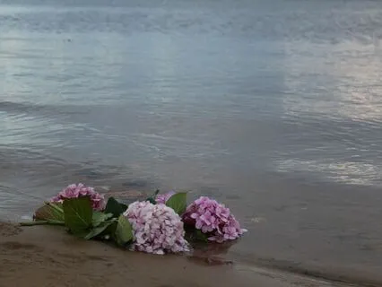 Beditation - Meditation For Bedtime