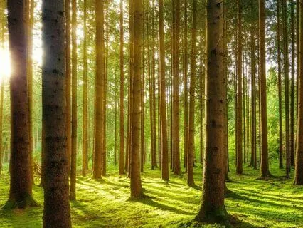 Bedtime Affirmations With JuneB - Clearing Old Beliefs