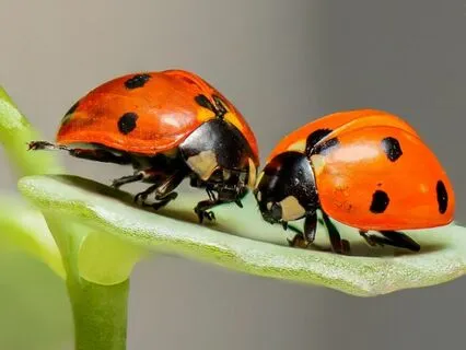 Bedtime Affirmations With JuneB - Dealing With Toxic People