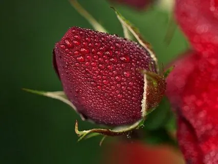 Bedtime Affirmations With JuneB - Depression